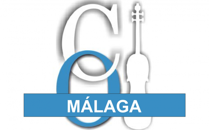 Violinista para bodas Málaga