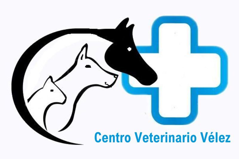 Centro veterinario vélez
